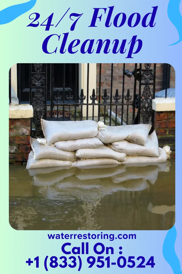 24/7 Flood Cleanup in Pierson, MI