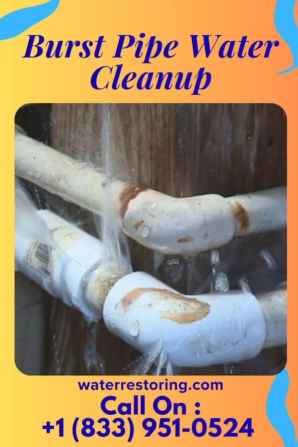 Burst Pipe Water Cleanup in Pierson, MI