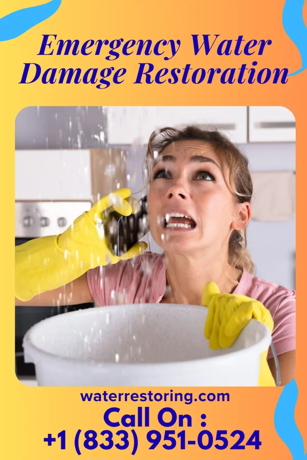 Emergency Water Damage Restoration in Pierson, MI