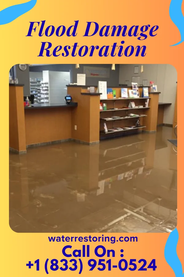 Flood Damage Restoration in Pierson, MI