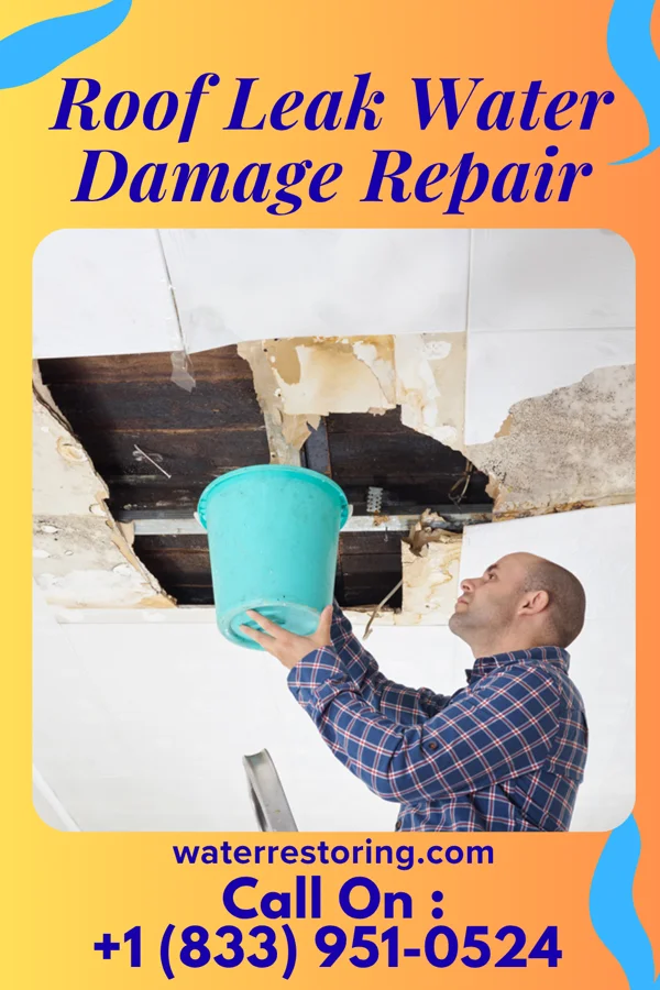 Roof Leak Water Damage Repair in Pierson, MI