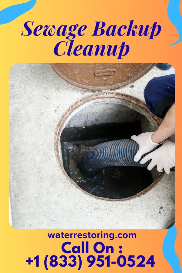 Sewage Backup Cleanup in Pierson, MI
