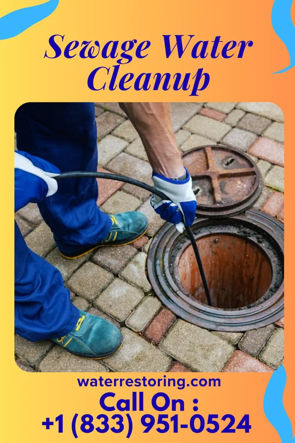 Sewage Water Cleanup in Pierson, MI